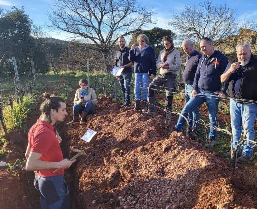 Terre Apara, l’outil collectif qui accélère la résilience du vignoble provençal